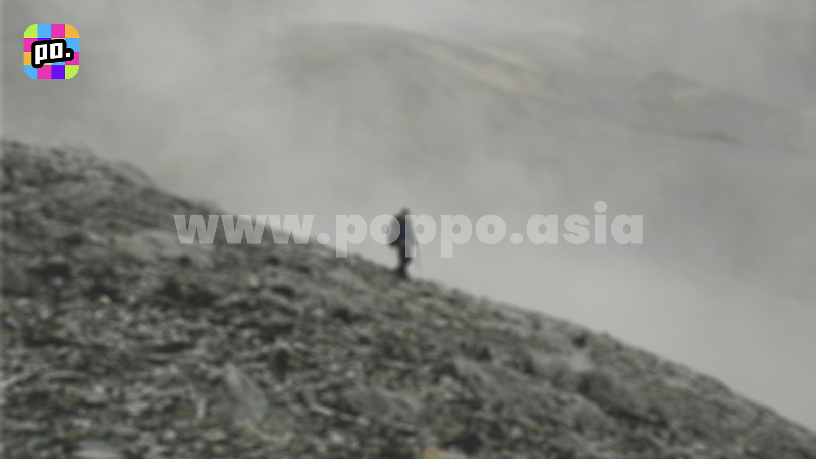 Why Selfishness is a Bad Trait for Poppo Live Agents